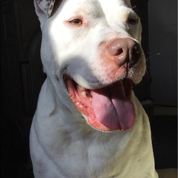 SALE - Picture 1 of 1